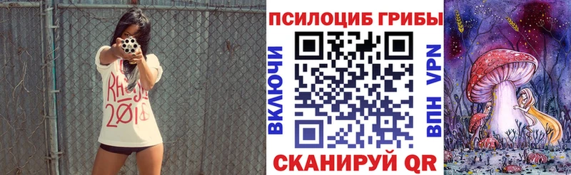 Галлюциногенные грибы Psilocybe  сайты даркнета как зайти  Зеленодольск 
