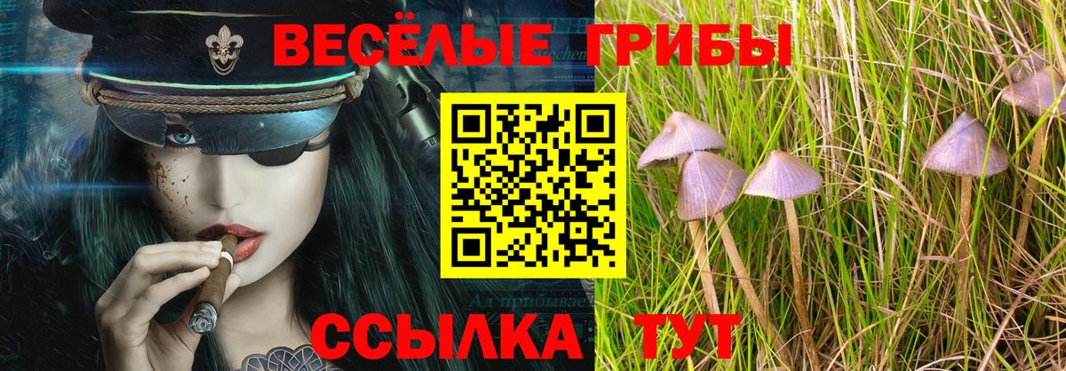 Зеленодольск  Галлюциногенные грибы ЛСД  Псилоцибиновые грибы Cubensis  где найти наркотики  Вход с VPN 